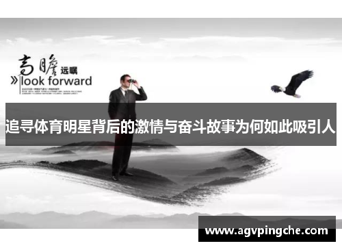 追寻体育明星背后的激情与奋斗故事为何如此吸引人